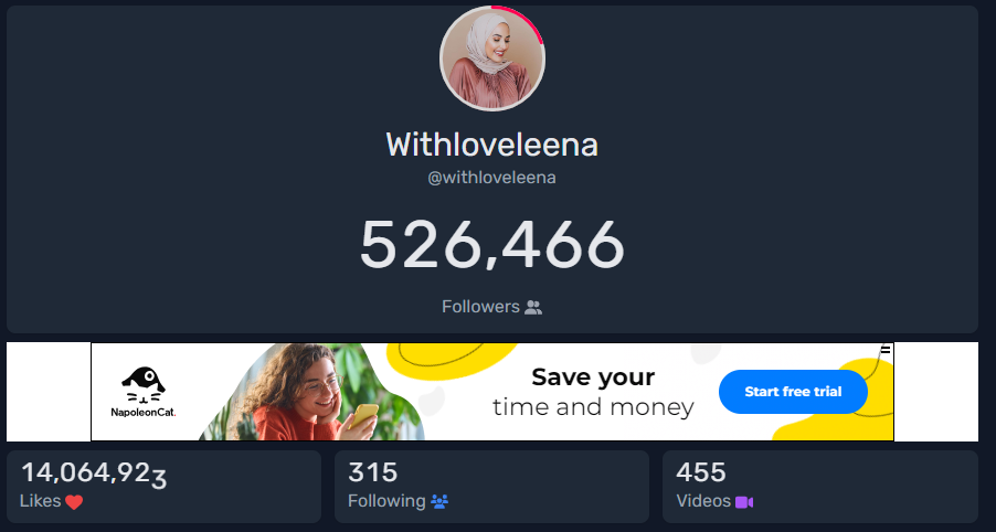 Withloveleena account statistics